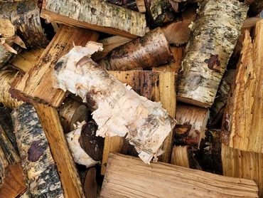 Firewood project in Milton