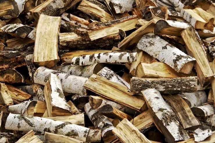 Firewood project in Milton