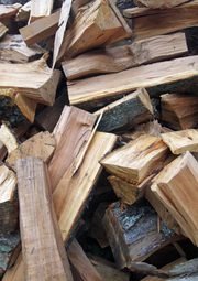 Firewood project in Milton