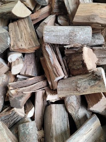 Firewood project in Milton